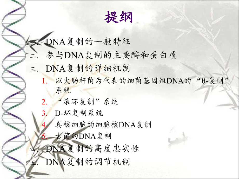 DNA复制-PPT课件.ppt_第2页