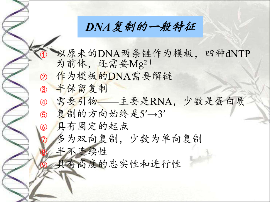 DNA复制-PPT课件.ppt_第3页