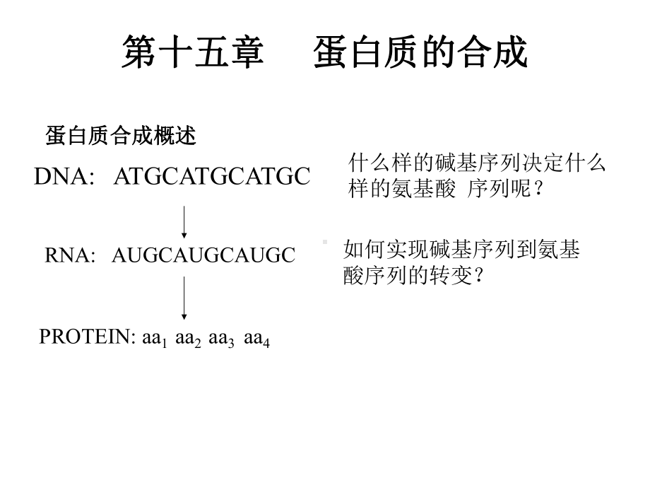 蛋白质生物合成和定义课件.ppt_第1页