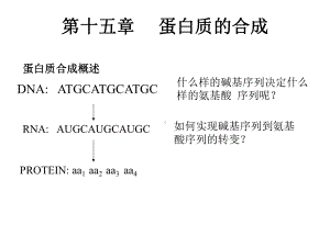 蛋白质生物合成和定义课件.ppt