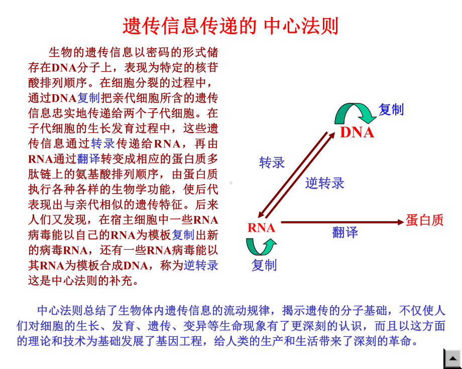 课件-rna生物合成和加工.ppt_第2页