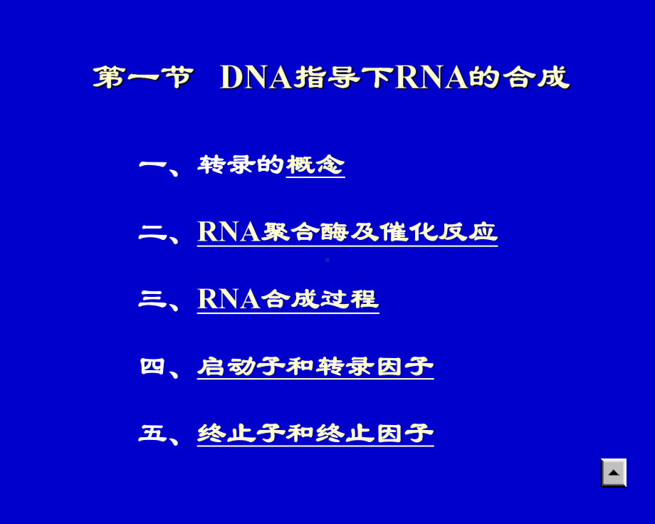 课件-rna生物合成和加工.ppt_第3页