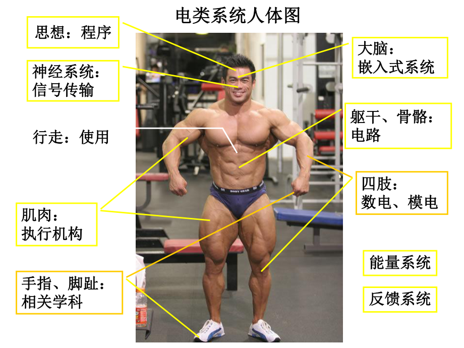 数字电子技术基础课件-第1章.ppt_第2页