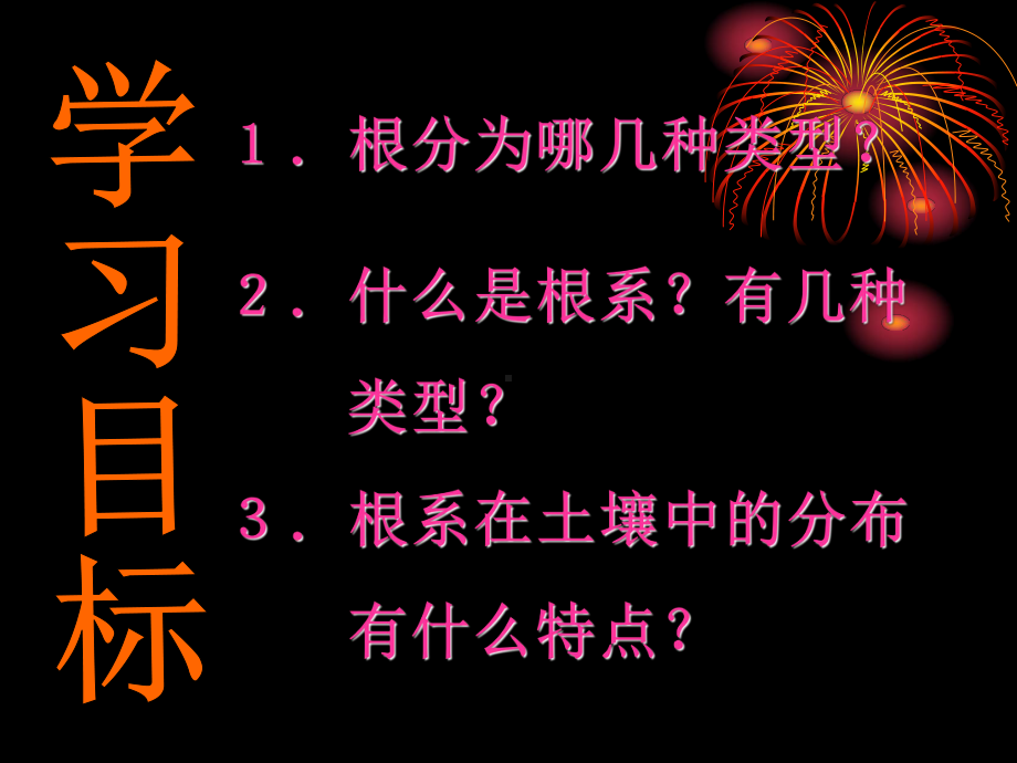 在实验室里观察植物PPT优秀课件1-冀教版.ppt_第2页