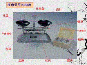 九年级物理-第十一章《多彩的物质世界》-03密度课件-人教新课标版.ppt