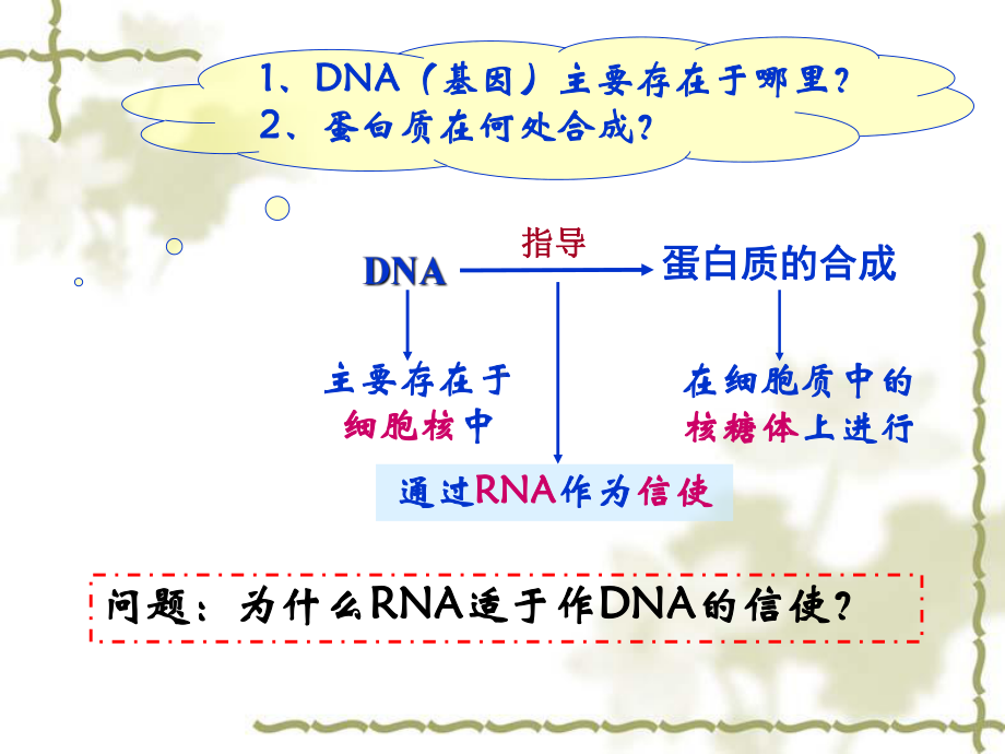 高中生物必修2遗传与进化《第1节基因指导蛋白质的合成》PPT课件(4).ppt_第3页