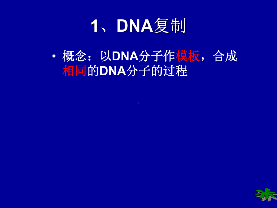 DNA的复制和蛋白质的合成-PPT课件.ppt_第2页