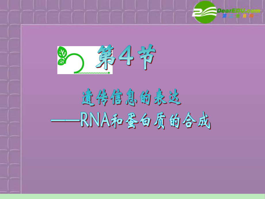 （学海导航）浙江省2012届高中生物总复习第一轮复习 第3章 第4节 遗传信息的表达RNA和蛋白质的合成课件 湘教版必修2 （精编）.ppt_第2页