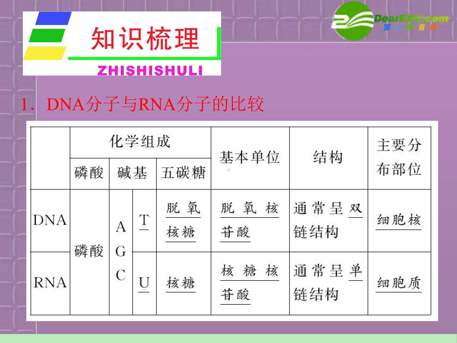 （学海导航）浙江省2012届高中生物总复习第一轮复习 第3章 第4节 遗传信息的表达RNA和蛋白质的合成课件 湘教版必修2 （精编）.ppt_第3页