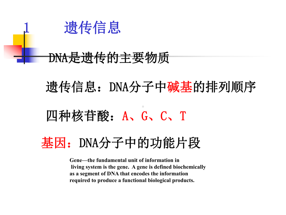 北医本科课件《生物化学》第12章 dna的生物合成-zwg.ppt_第3页