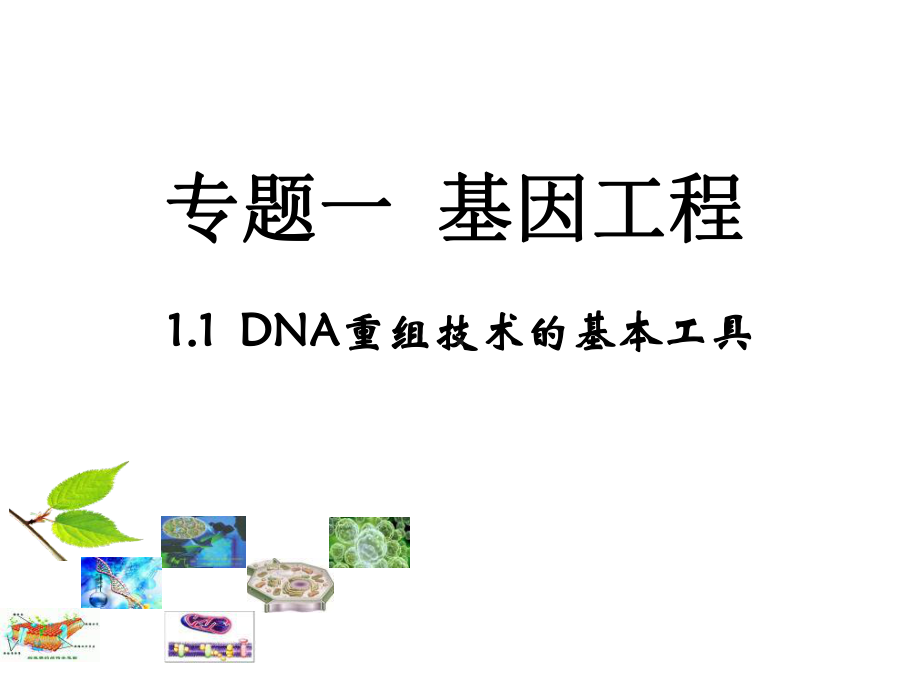 （多彩课堂）2015-2016学年高中生物选修3课件：1.1《DNA重组技术的基本工具》PPT课件.ppt_第1页