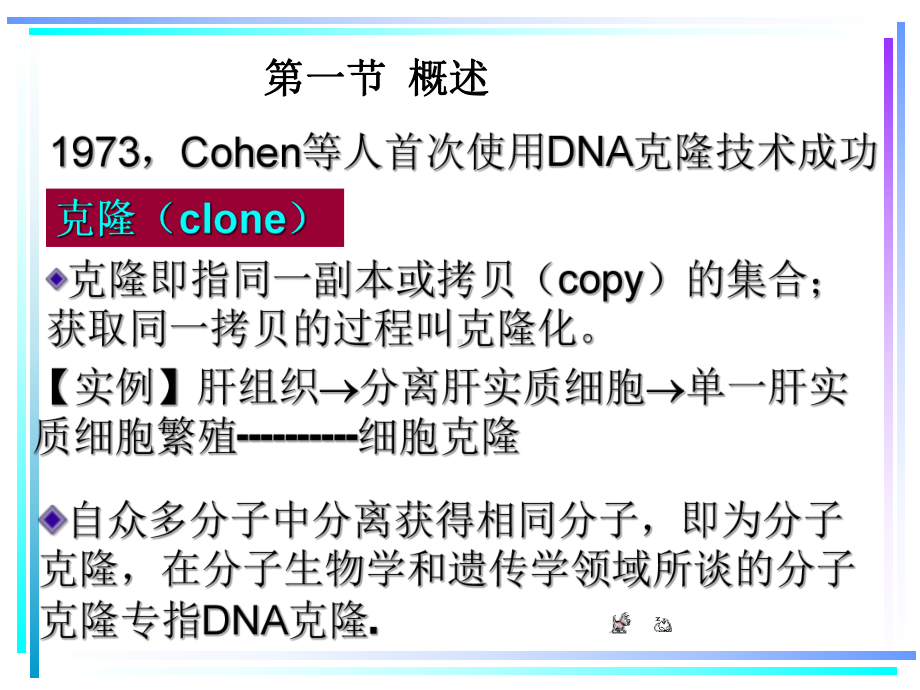 生物化学课件（杨洋）17重组dna技术.ppt_第2页