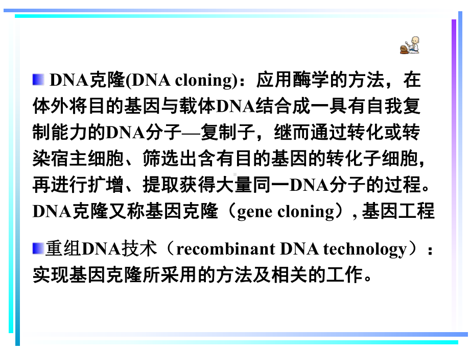 生物化学课件（杨洋）17重组dna技术.ppt_第3页