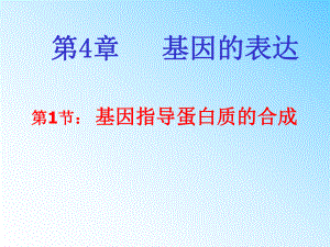 4.1基因指导蛋白质合成高中生物必修2课件ppt.ppt