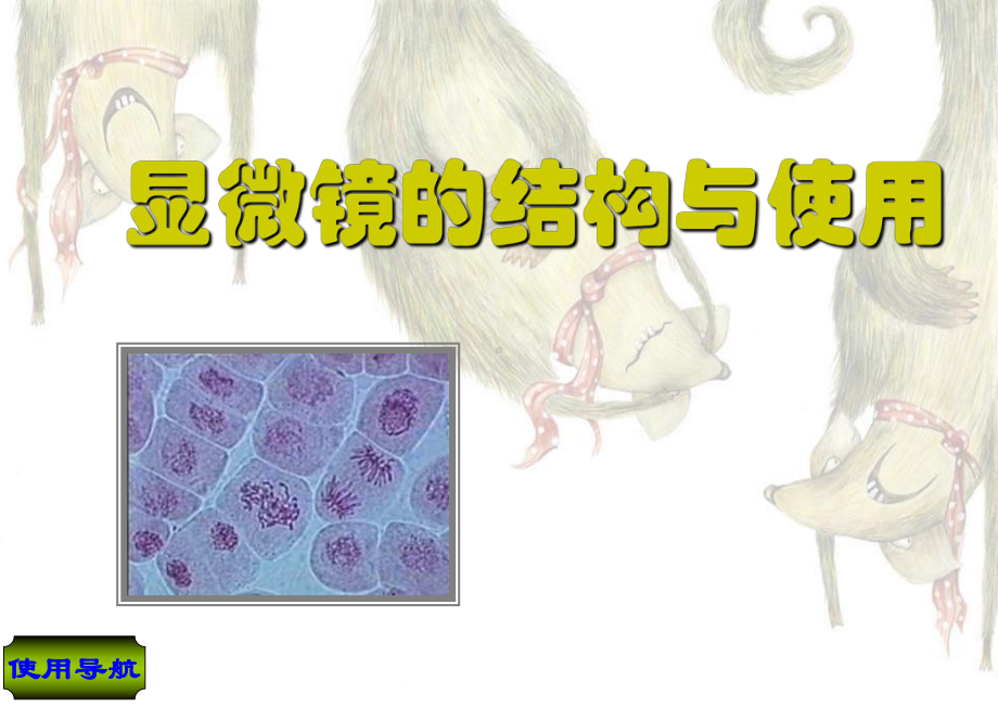 七年级生物ppt课件-显微镜的结构与使用1.ppt_第1页