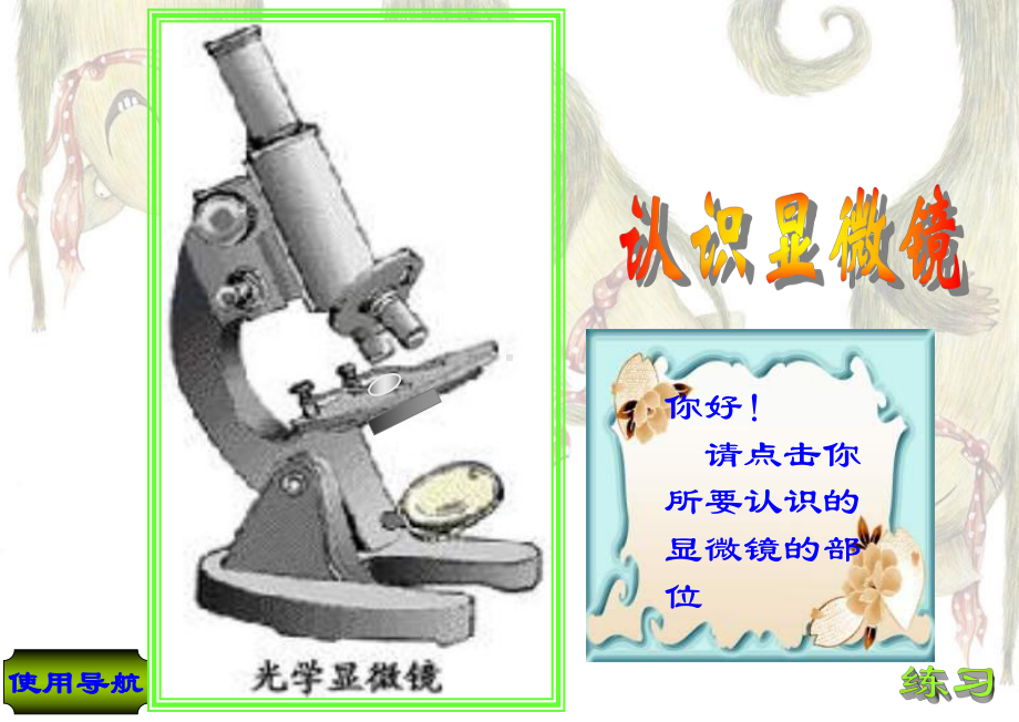 七年级生物ppt课件-显微镜的结构与使用1.ppt_第3页