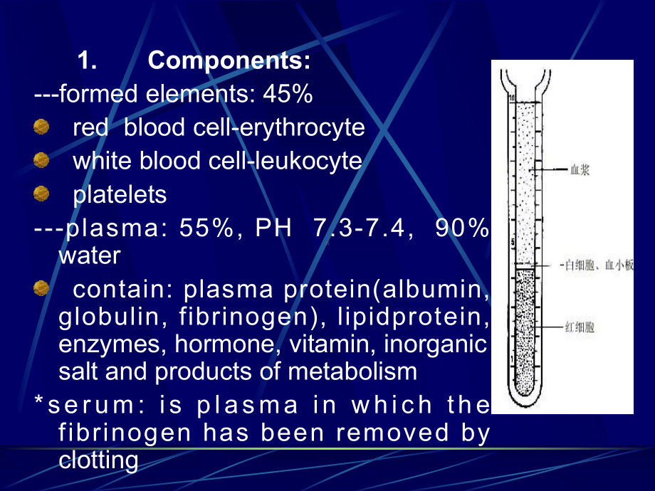 组织胚胎学-blood and hemopoiesisppt课件.ppt_第3页