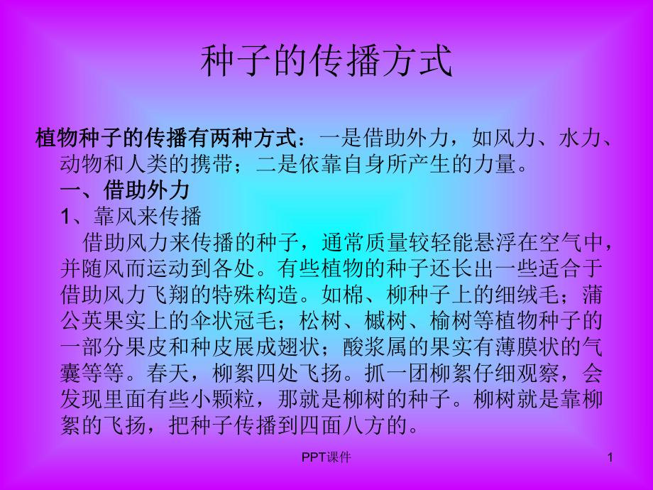 种子的传播方式-ppt课件.ppt_第1页