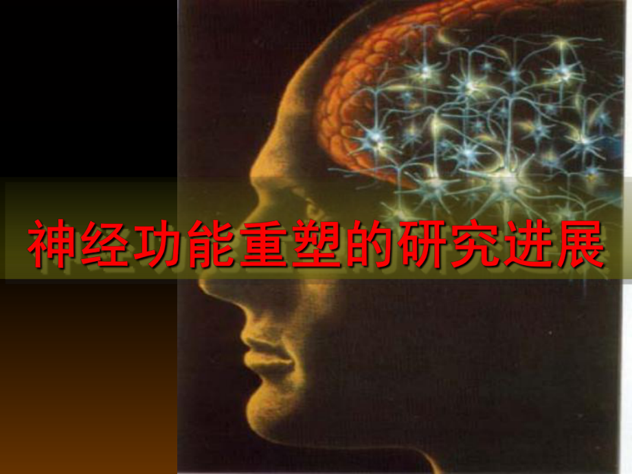 神经功能重塑的研究进展-ppt课件.ppt_第1页