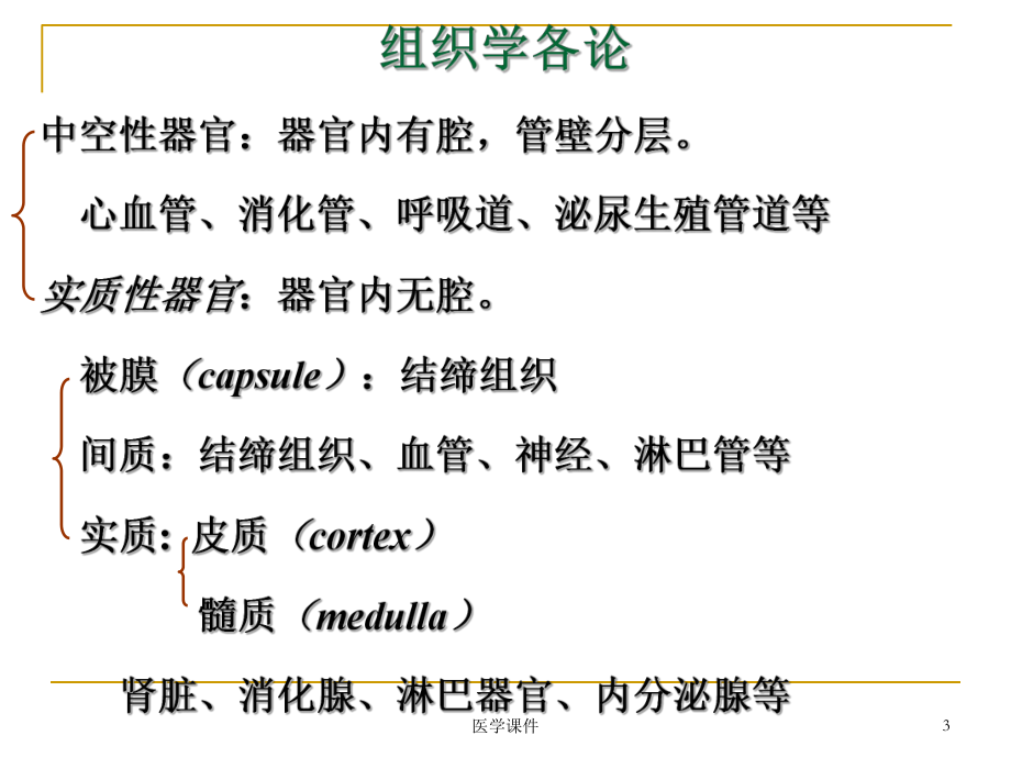 组织学与胚胎学 - 循环系统 PPT课件.ppt.ppt_第3页