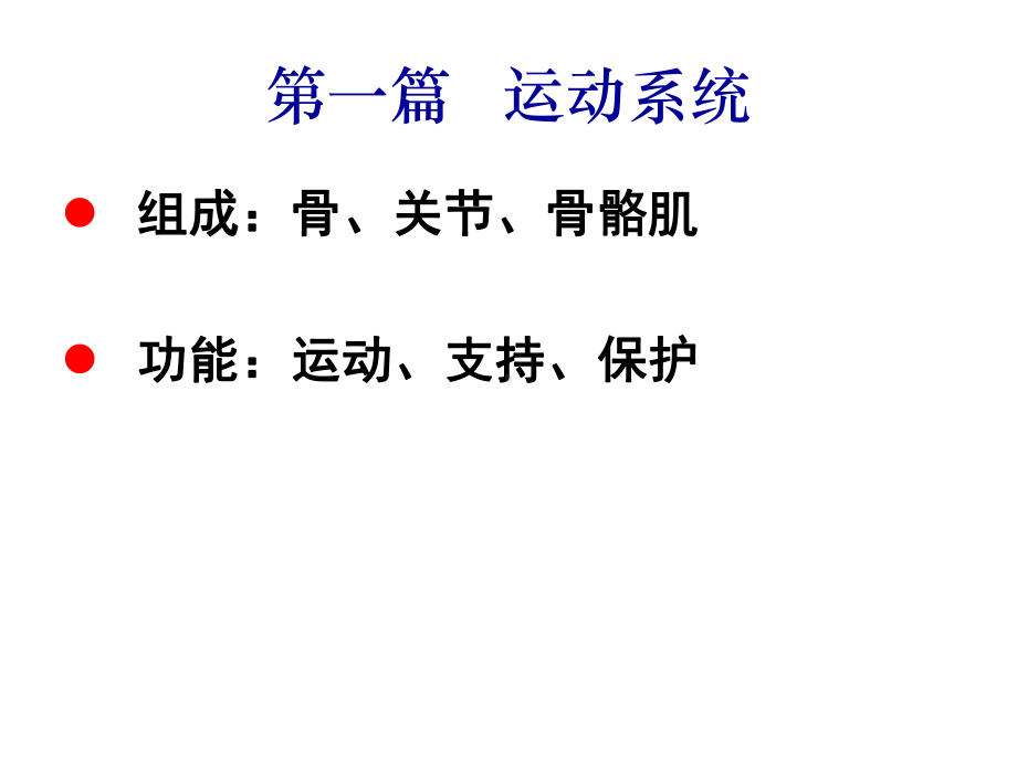 运动系统 ppt课件1.ppt_第3页