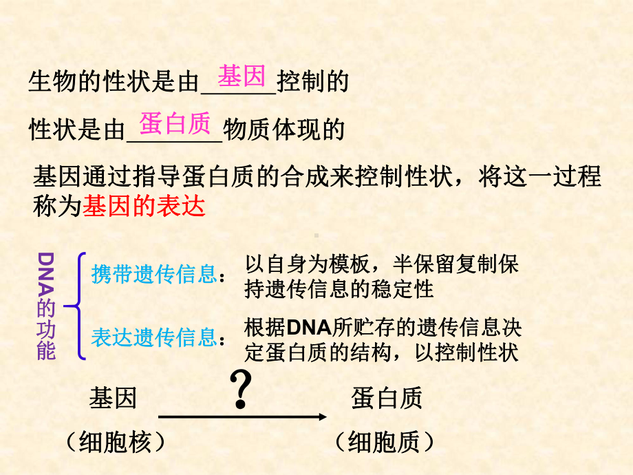 （新步步高）2015-2016学年高一生物浙科版必修2课件：3.4 遗传信息的表达—RNA和蛋白质的合成 1 .ppt.ppt_第2页