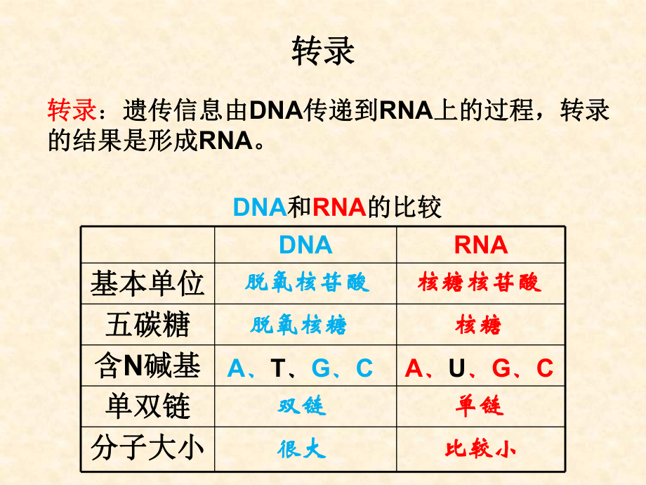 （新步步高）2015-2016学年高一生物浙科版必修2课件：3.4 遗传信息的表达—RNA和蛋白质的合成 1 .ppt.ppt_第3页