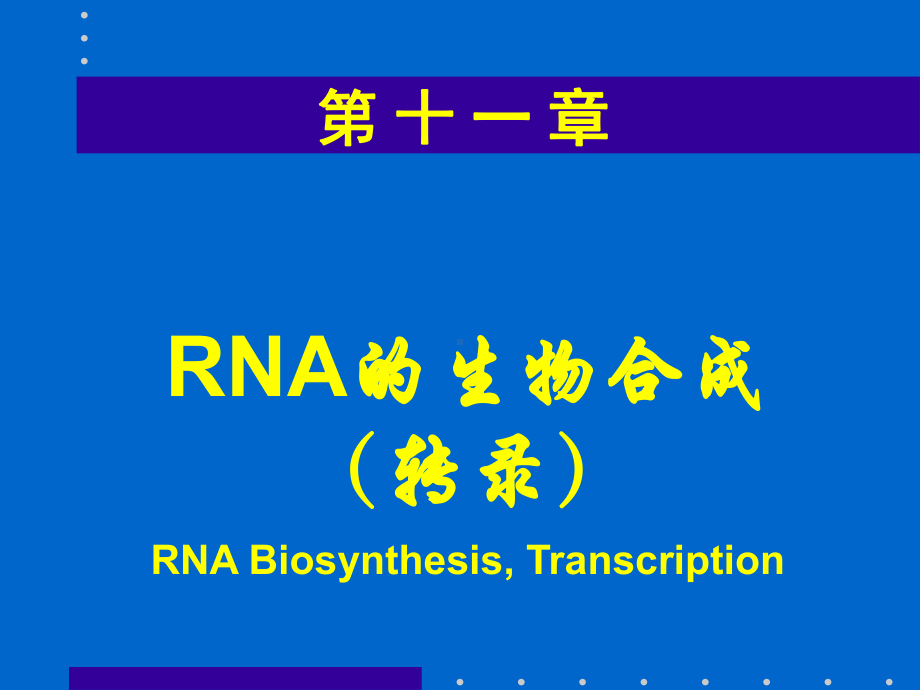 分子生物学课件RNA的生物合成.ppt_第1页