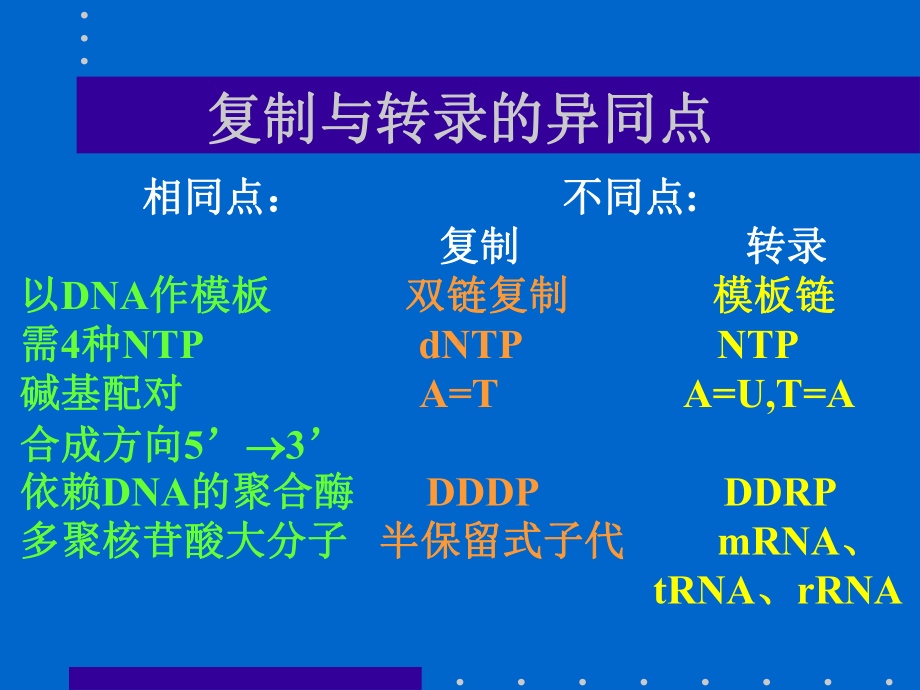 分子生物学课件RNA的生物合成.ppt_第3页