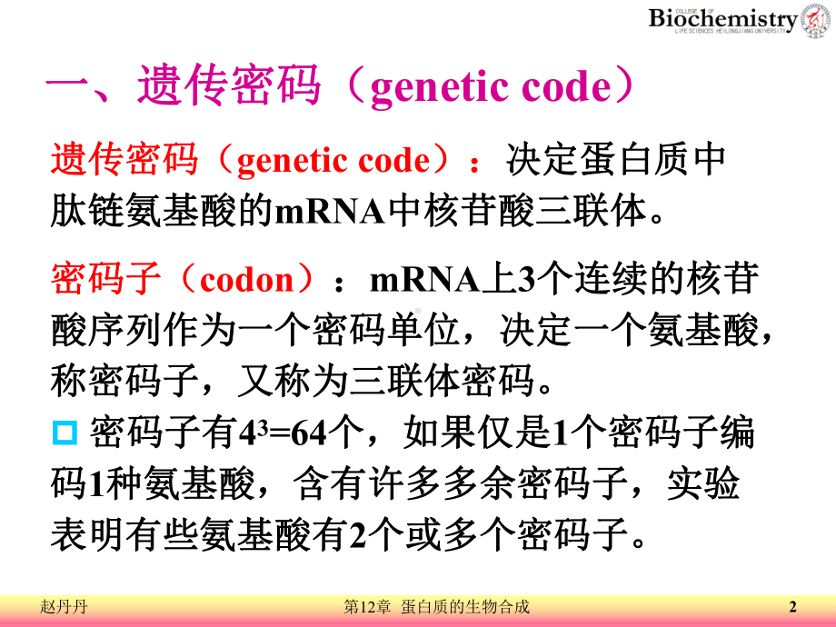 12 蛋白质的生物合成 ppt课件.ppt_第2页