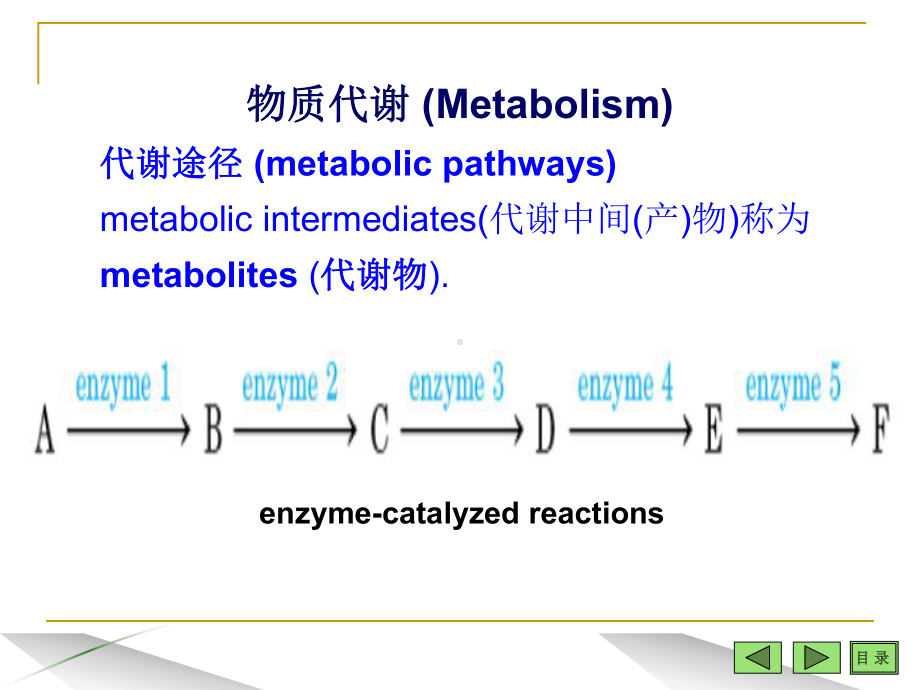 生物化学课件 生物化学复习资料 第四章 糖代谢终稿.ppt_第1页