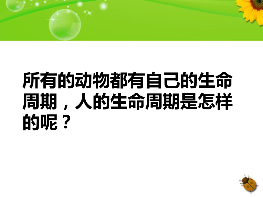 我们的生命周期-动物的生命周期PPT精品教学课件2.ppt_第2页