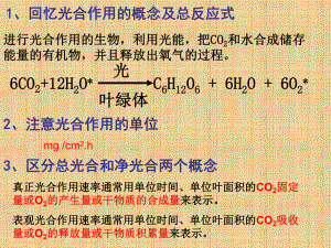 浙科版必修三-生态系统中的生产量和生物量-名师制作优质课件(27张).ppt