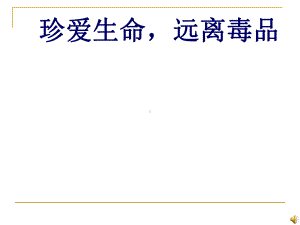 禁毒教育课件PPT..ppt