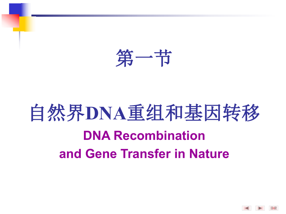 生物化学与分子生物学学习课件：dna重组和重组dna技术 1.ppt_第3页