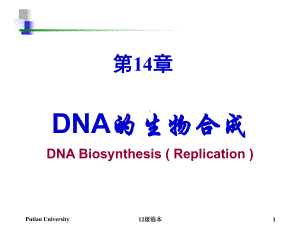 蔡丽希《生物化学》精品课件 第14章 dna的生物合成.ppt