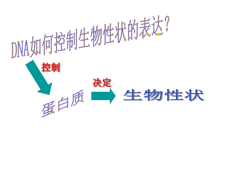 高中生物 第四节 遗传信息的表达 RNA和蛋白质的合成课件 浙教版必修21.ppt_第2页