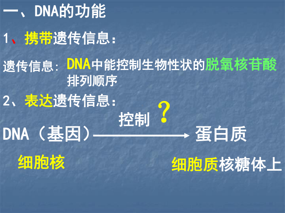 高中生物 第四节 遗传信息的表达 RNA和蛋白质的合成课件 浙教版必修21.ppt_第3页