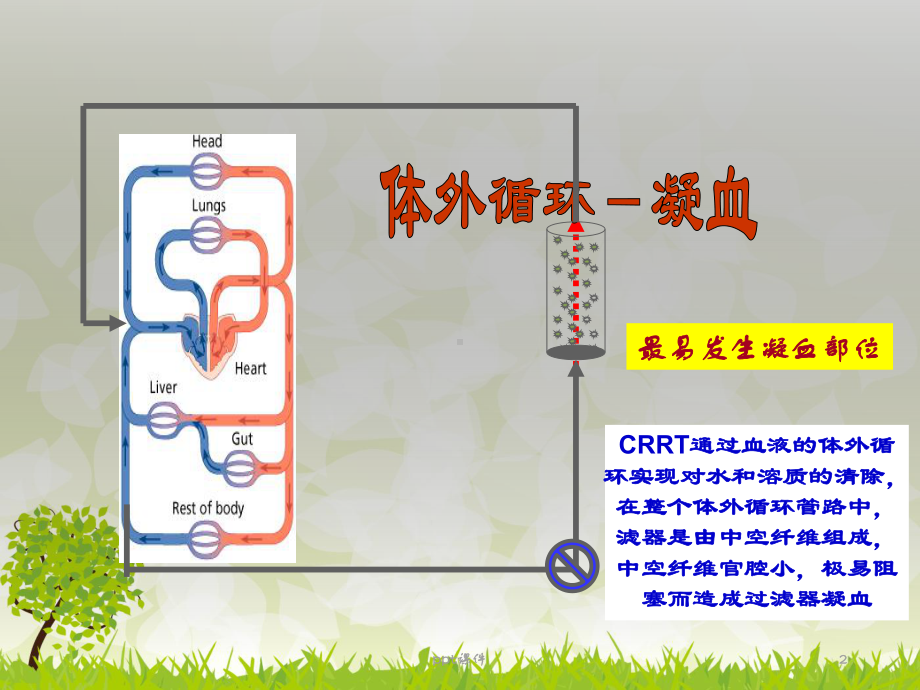 CRRT局部枸橼酸抗凝-ppt课件.ppt_第2页