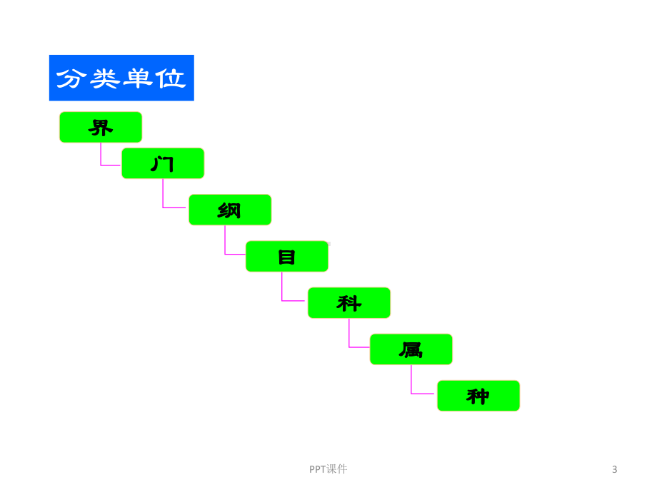 第三章-食用菌的分类-ppt课件.ppt_第3页