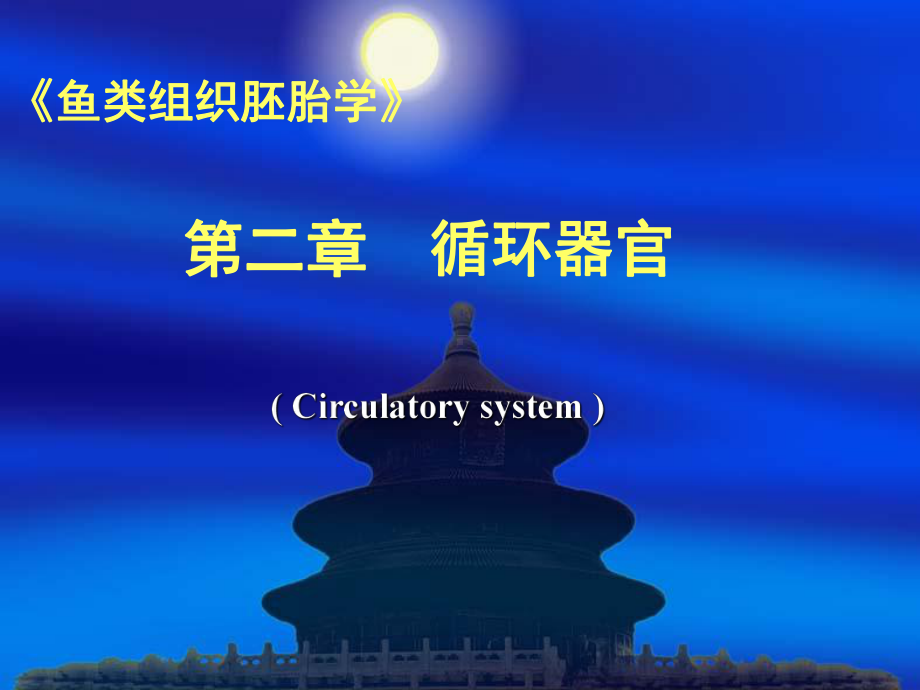 组织胚胎学课件第二章循环器官.ppt_第1页