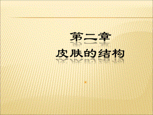 （课件）皮肤的解剖和组织学PPT.ppt