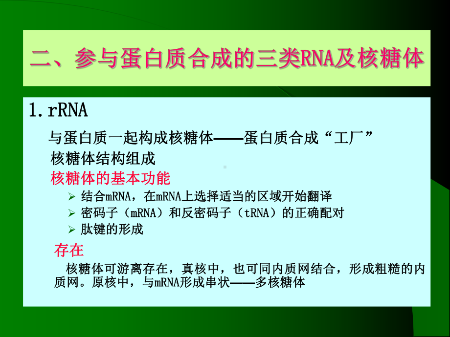 第10章蛋白质的生物合成ppt文件 - 天津开发区职业技术学院 [课件].ppt_第3页