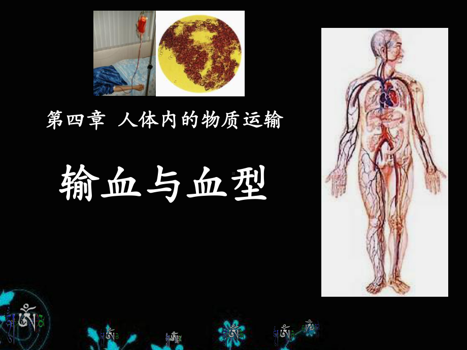 输血与血型-人体内物质的运输PPT精品教学课件5.ppt_第1页