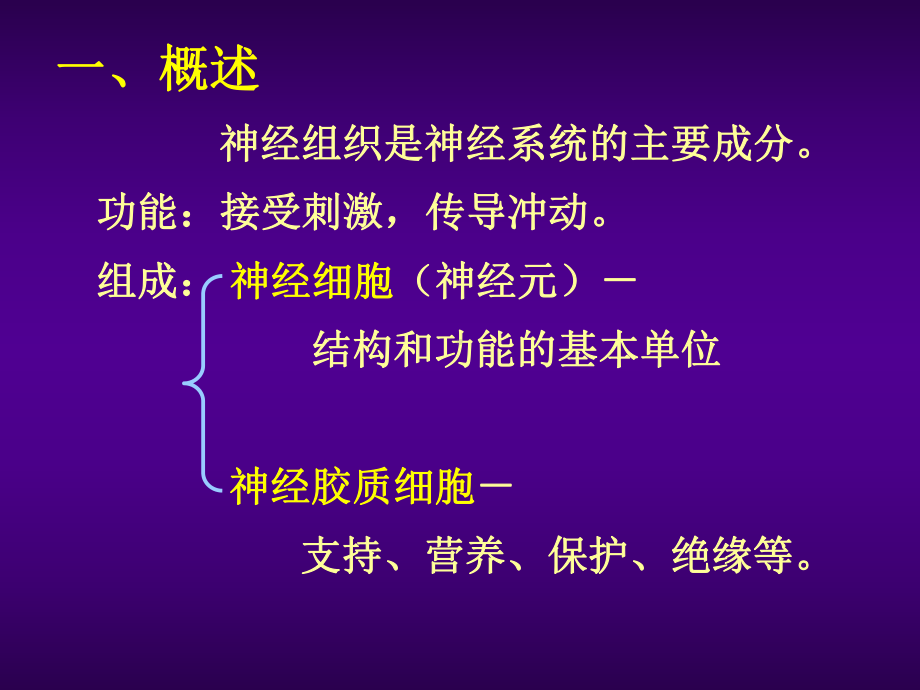 四川大学组胚课件-7.神经组织.ppt_第2页