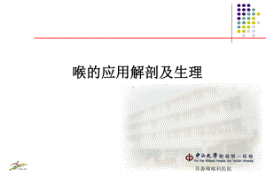 喉的应用解剖及生理PPT课件.ppt