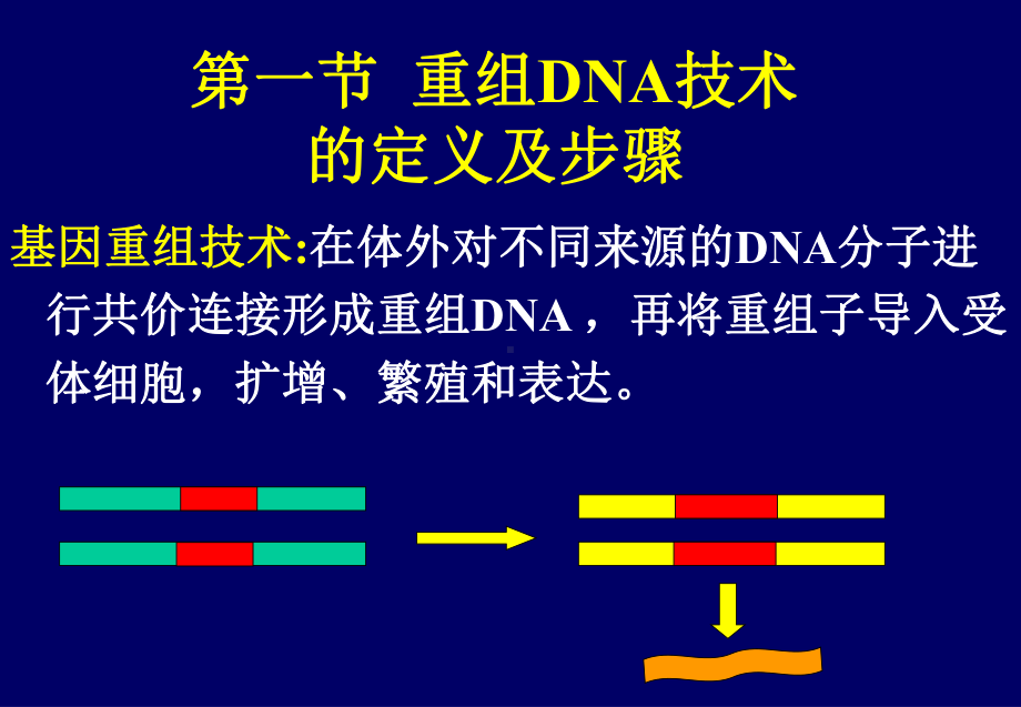 生物化学-重组DNA技术PPT课件.ppt_第3页