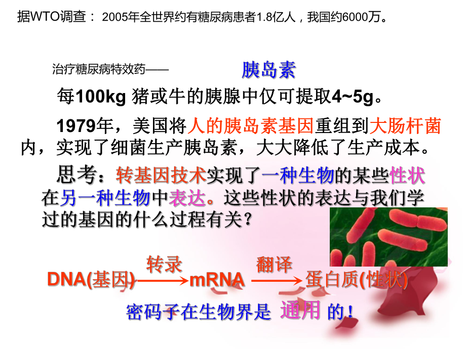 徐州市王杰中学高中生物 DNA重组技术的基本工具教学课件 新人教选修3 （课件）.ppt_第2页