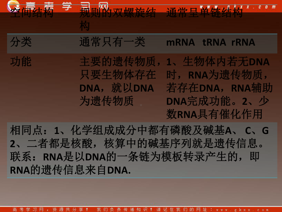 高一生物：第三章《第四节 遗传信息的表达-RNA和蛋白质的合成》课件15（浙教版必修2）.ppt_第3页