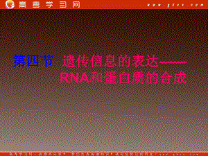 高一生物：第三章《第四节 遗传信息的表达-RNA和蛋白质的合成》课件15（浙教版必修2）.ppt